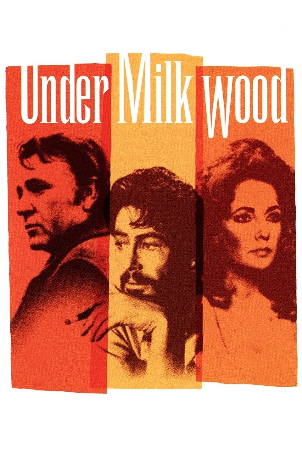 Постер Under Milk Wood